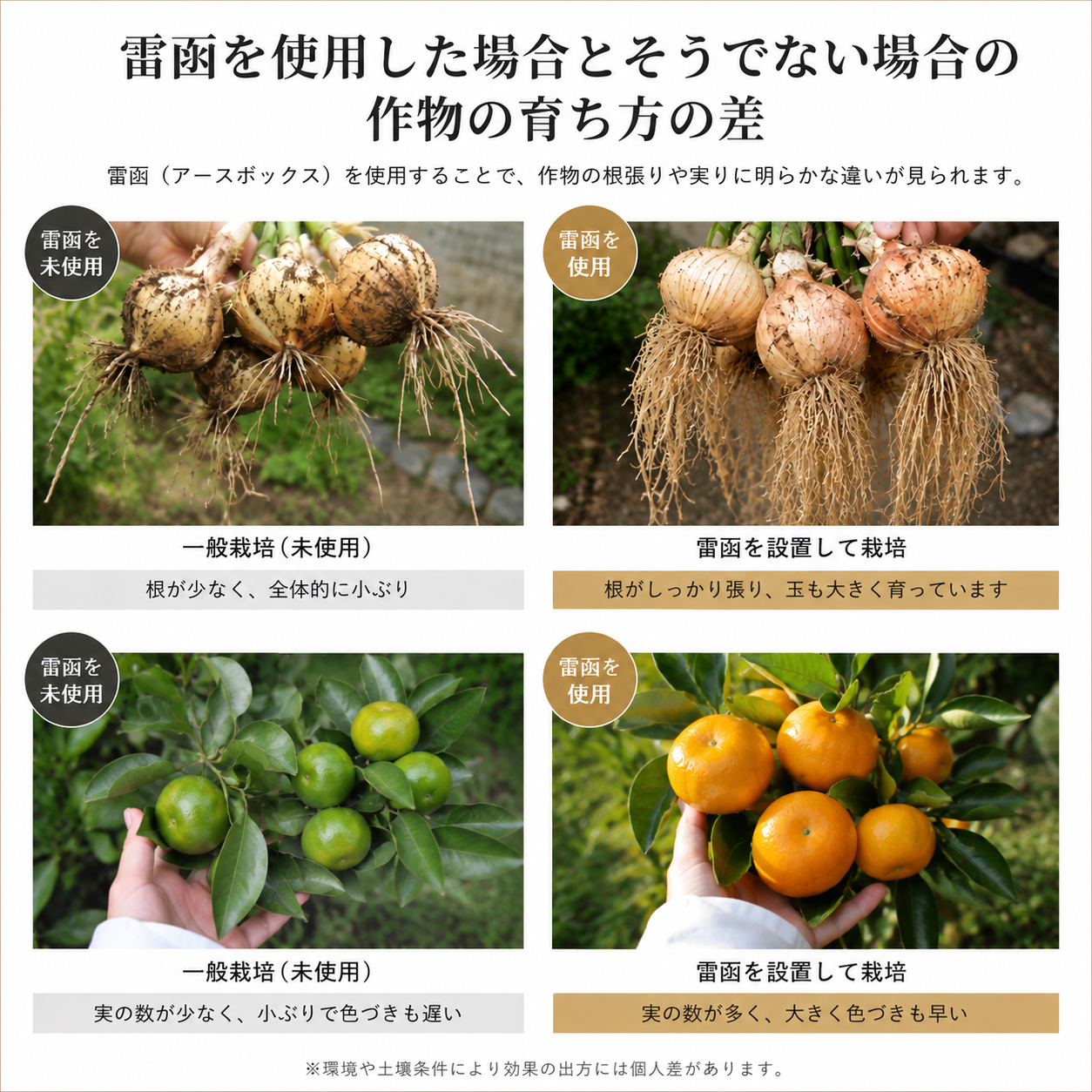 雷函 (アースボックス) | 山梨県産竹炭使用
